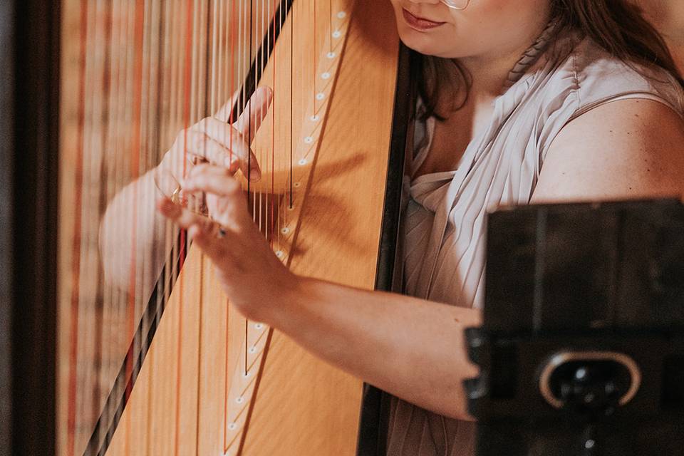 Barn wedding harpist