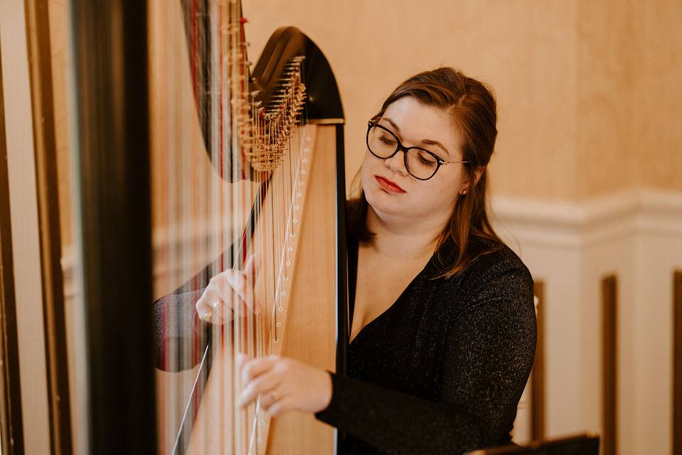 Cambridgeshire wedding harpist