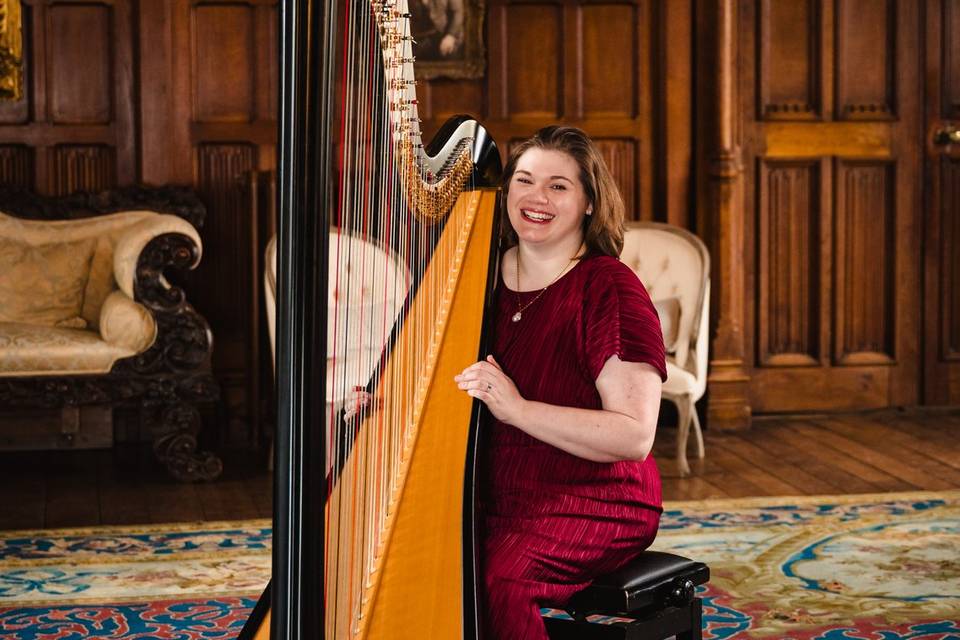 Harpist at Irnham Hall