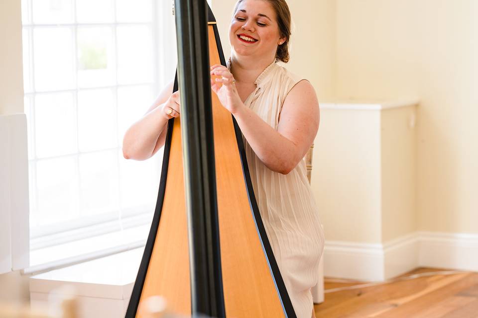 Professional wedding harpist