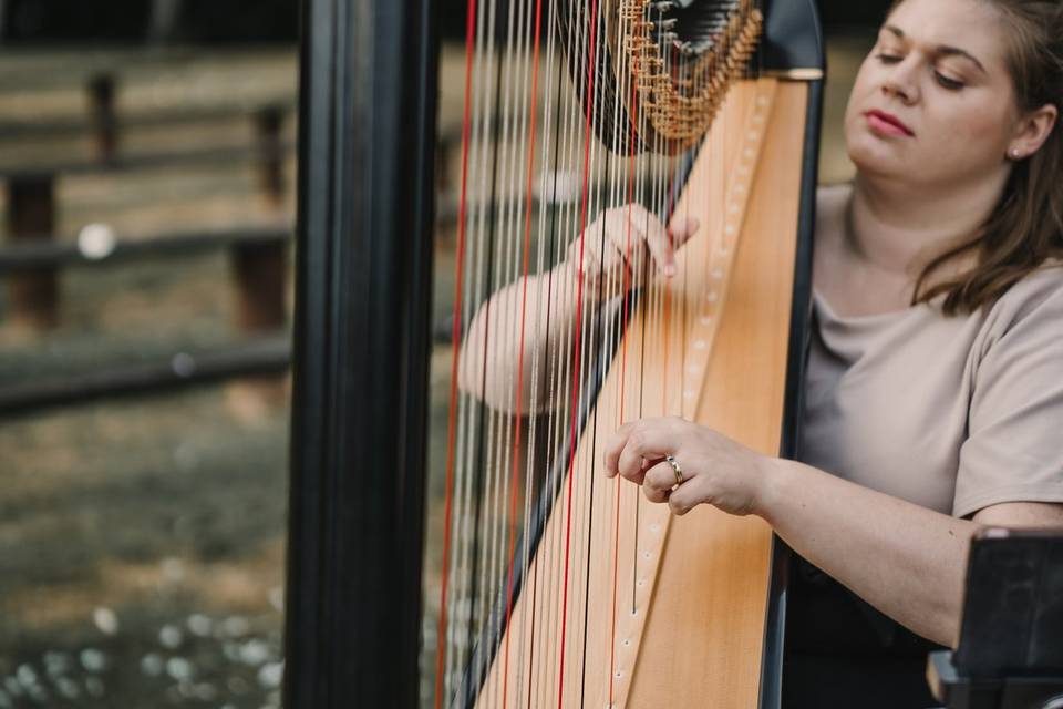 Relaxed wedding music