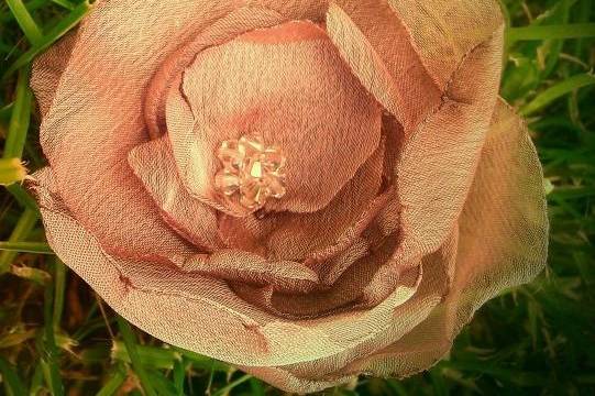 Chiffon Flower by Melissa Dawson