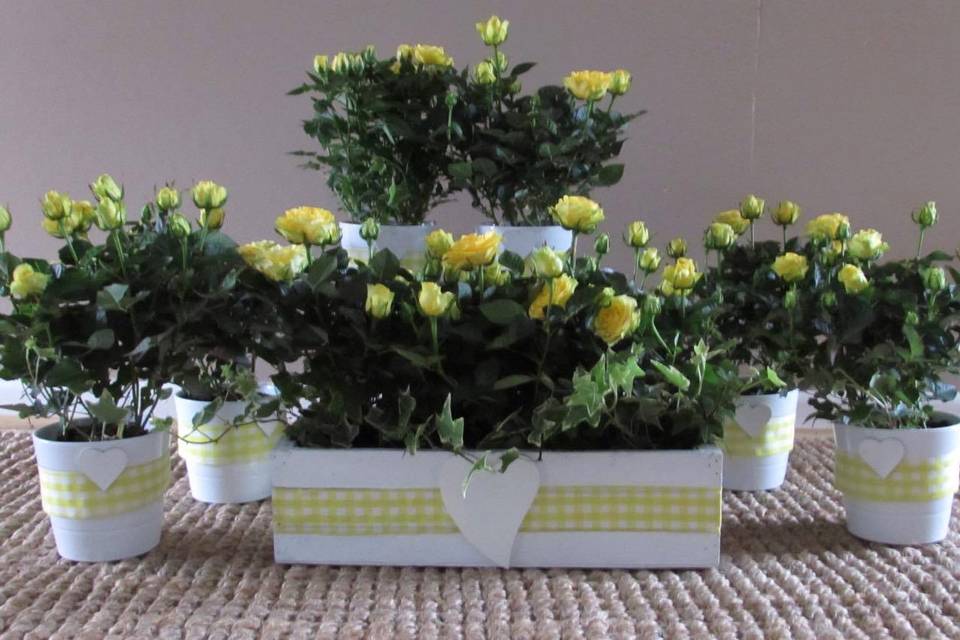 Planted table centerpieces.