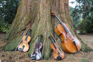 All Things Strings
