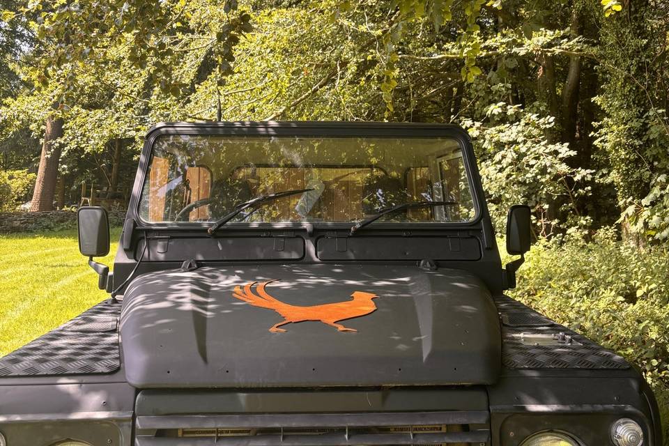 The Defender Plunge