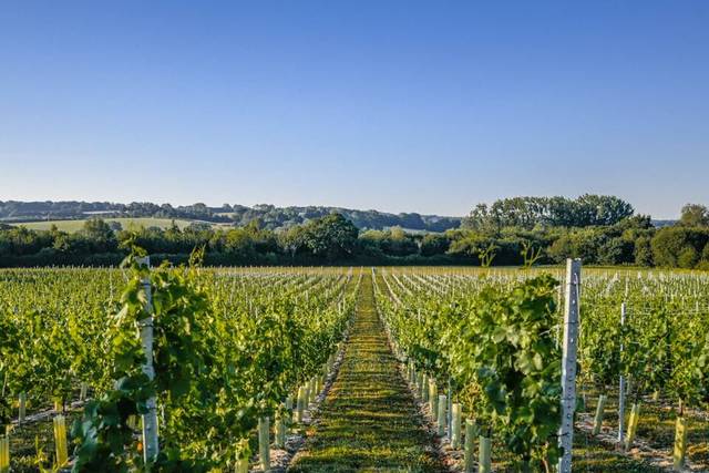 Oastbrook Estates Ltd 1