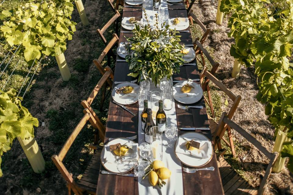 Dining in the vineyard