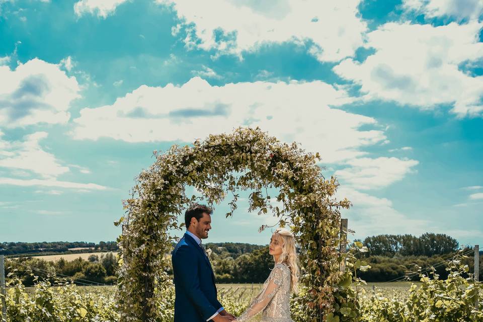 Wedding arch in the vineyard