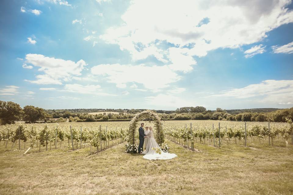 Wedding arch in the vineyard