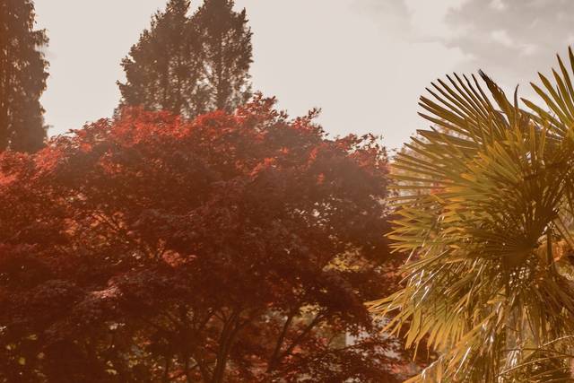 Dreamy colourful wedding