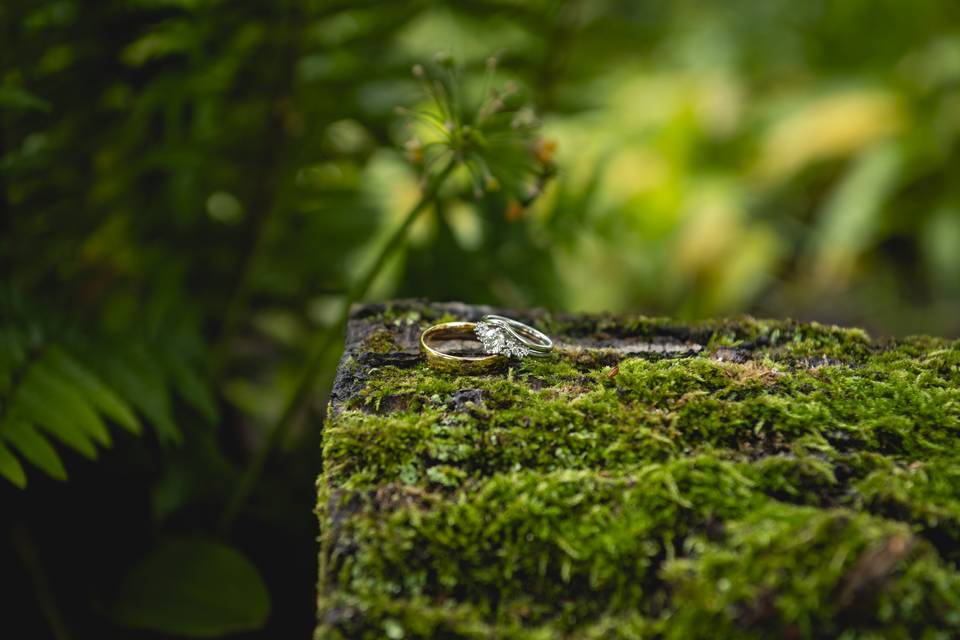Woodland