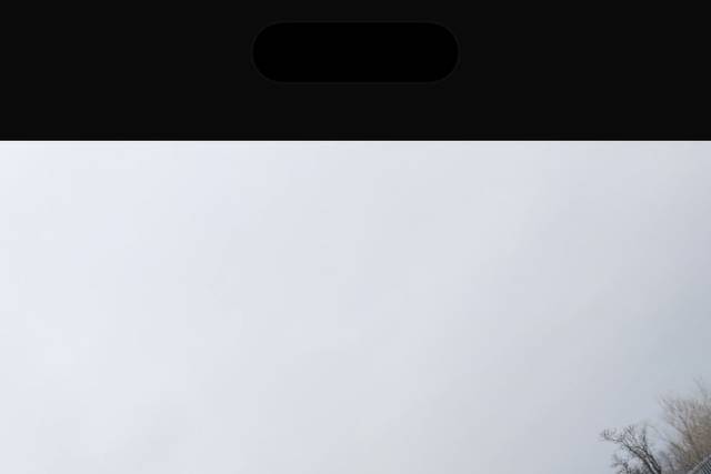 Brooklyn Pizza & Co.