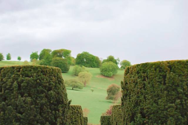 Photoshoot in the gardens