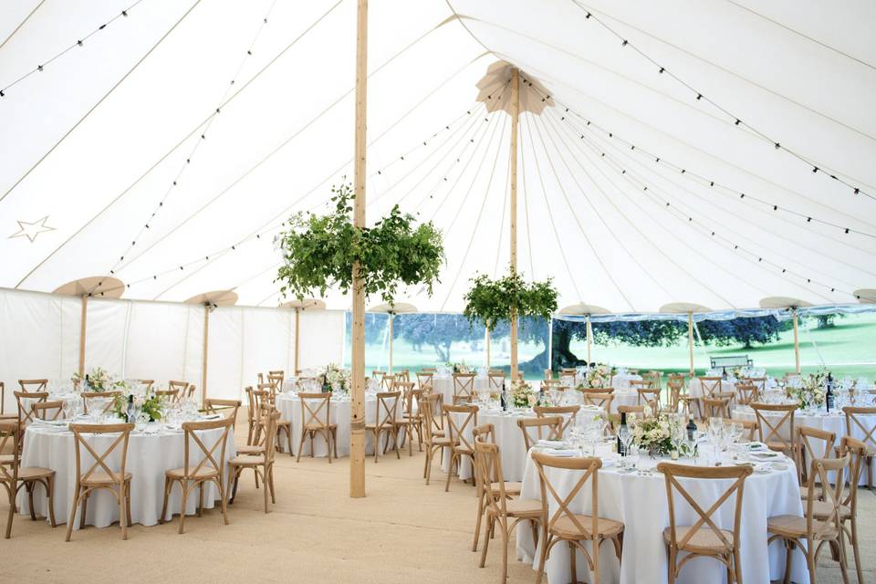 Elegant marquees