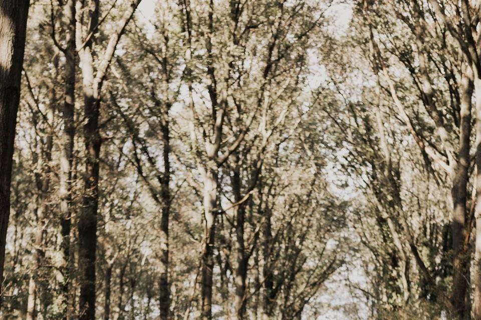 Hannah Hayward Photography