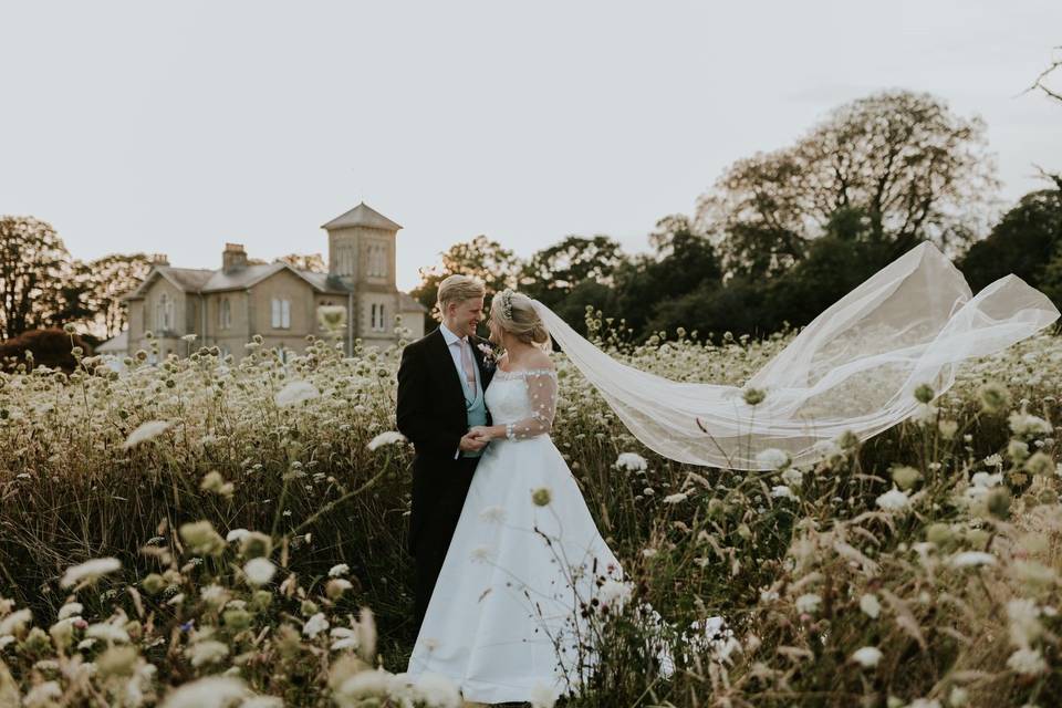 Wildflower Meadow
