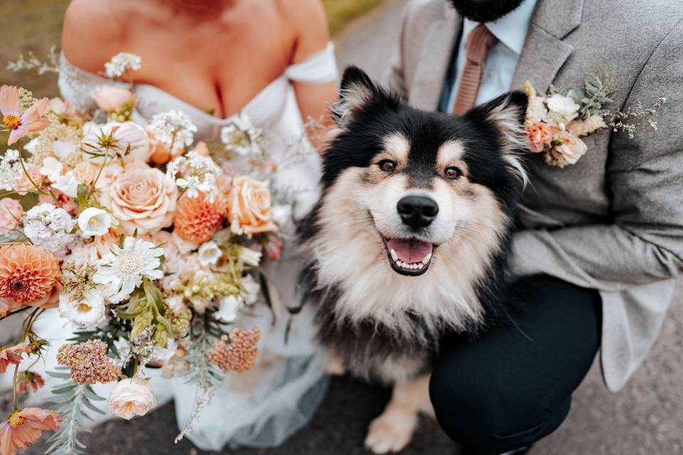 Adam Grills Photography