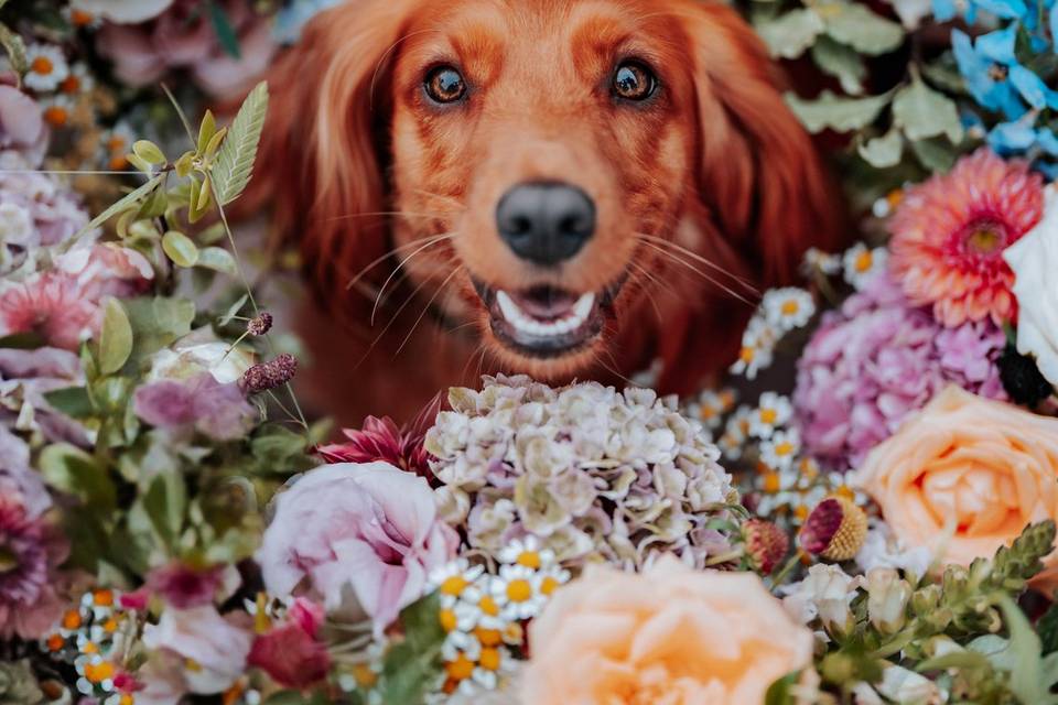 Adam Grills Photography