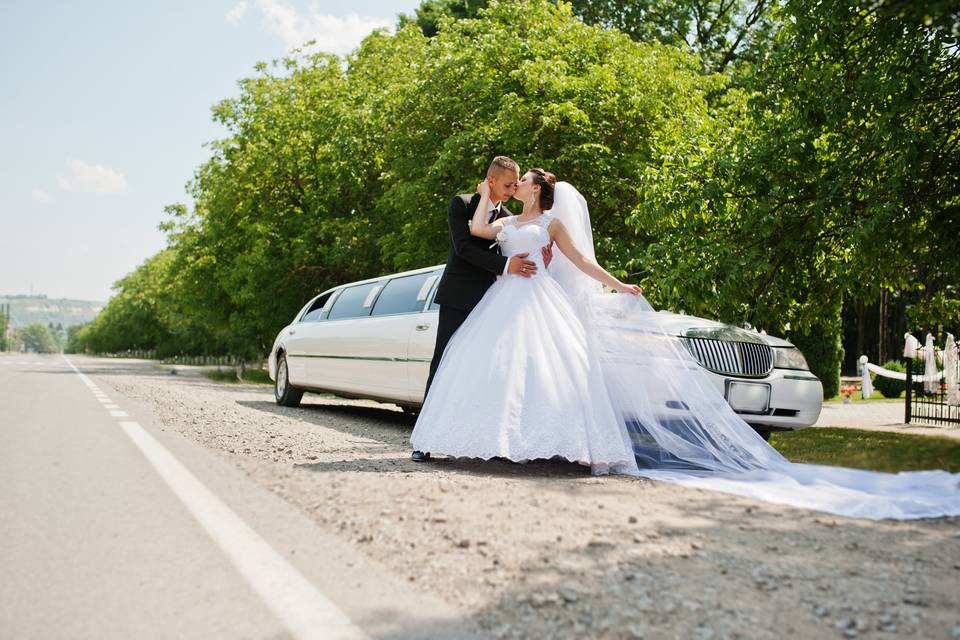 White Wedding Limousine