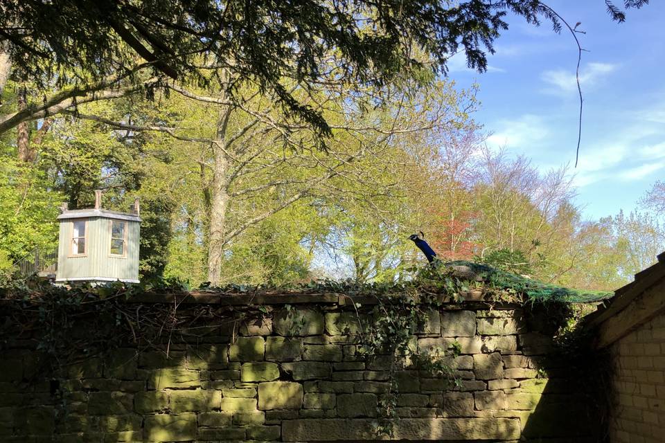 Walled garden