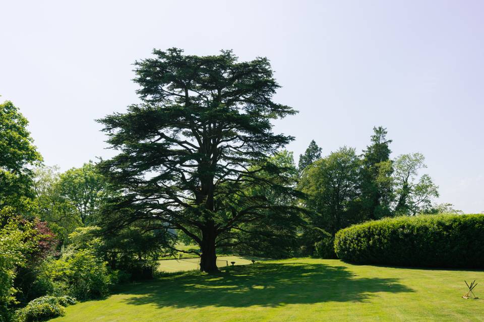 Lawn