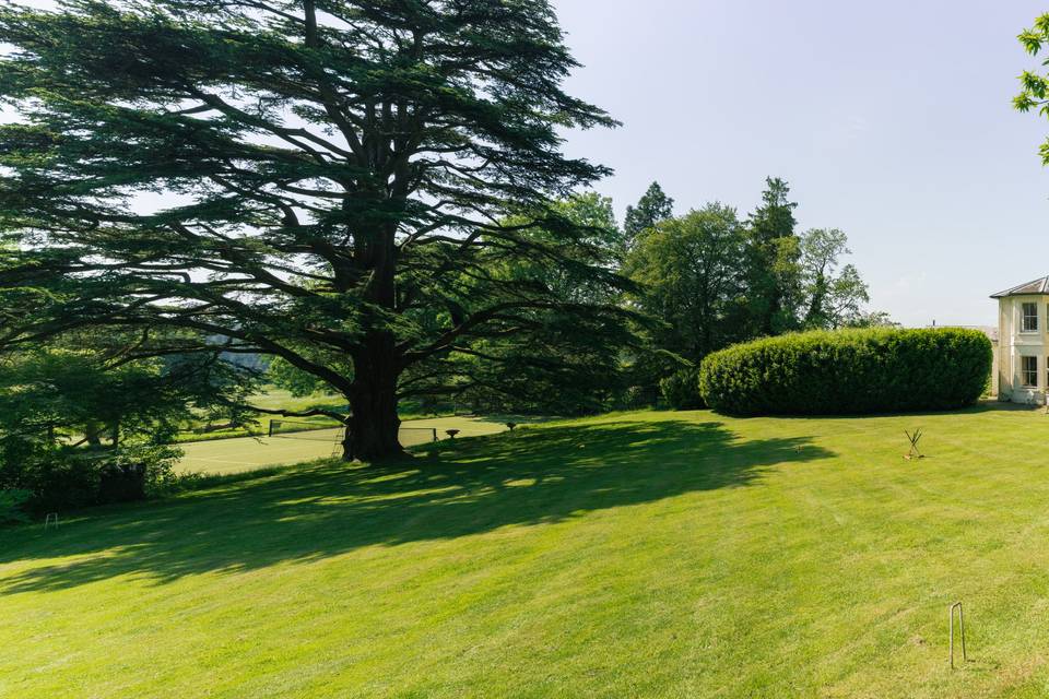 Lawn