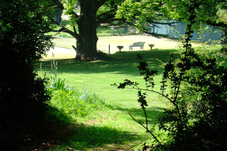 Lawn