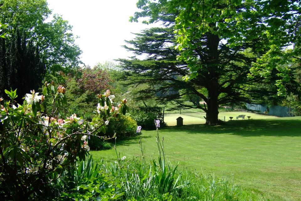 Lawn