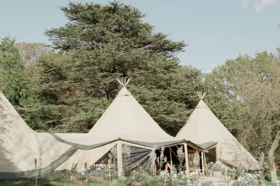 Tipis