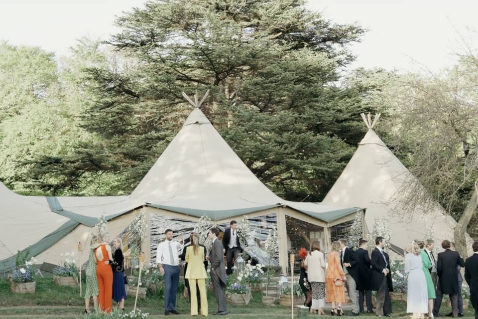 Tipis
