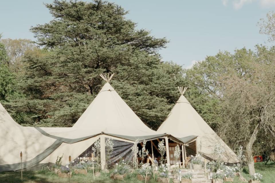 Tipis