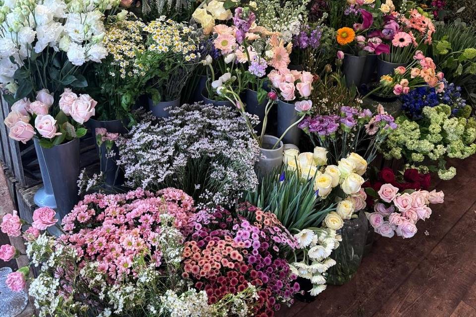 Shop - Flower Stand