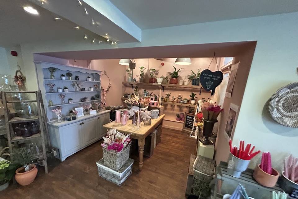 Shop - Plant Room