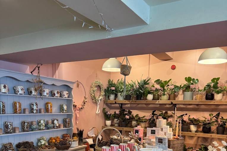 Shop - Plant Room