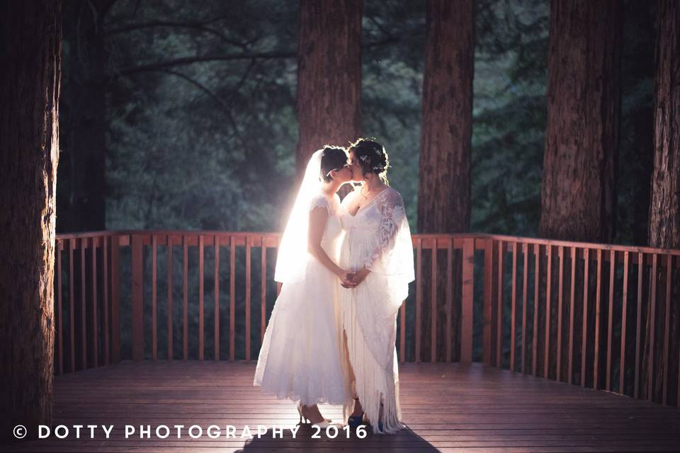 Newlyweds kissing - Dotty Photography