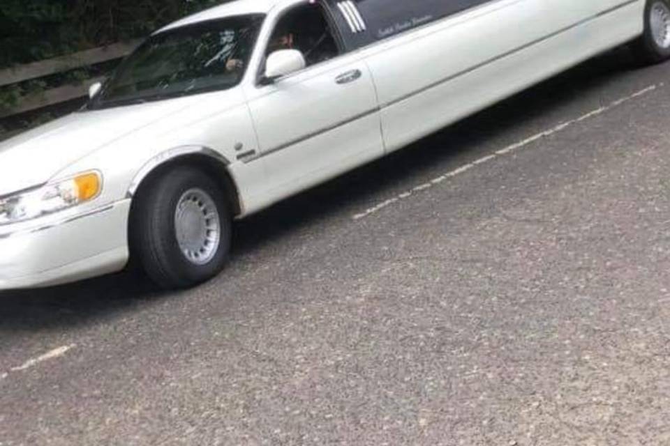 Party limousine