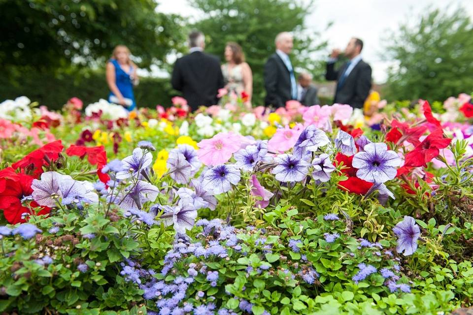 Blooms weeding in Warwick