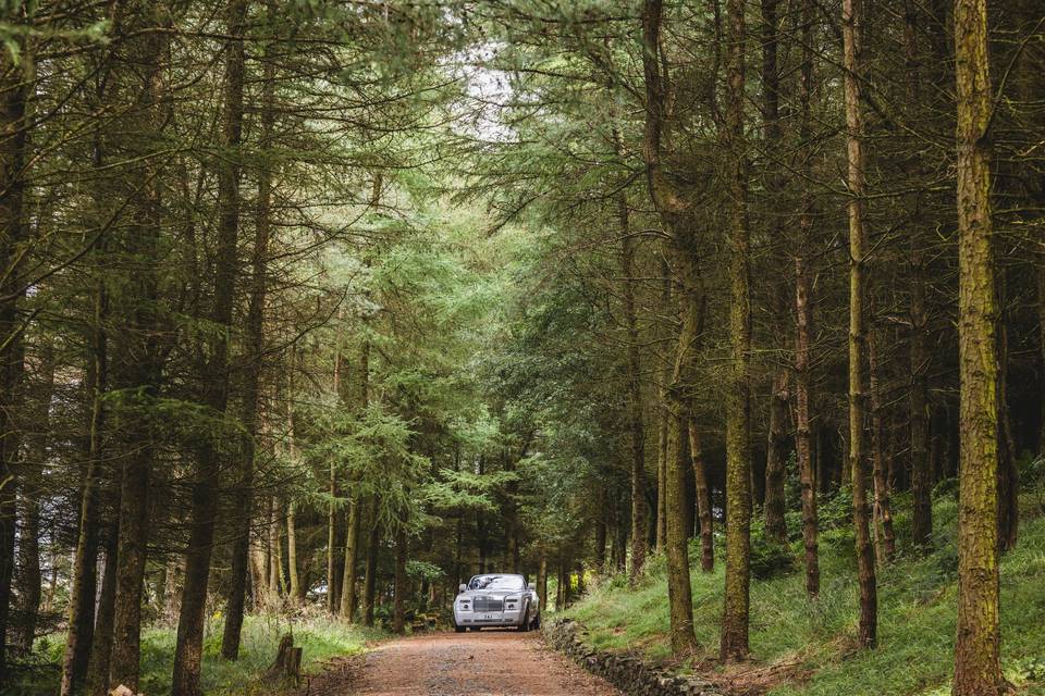 Woodland Drive