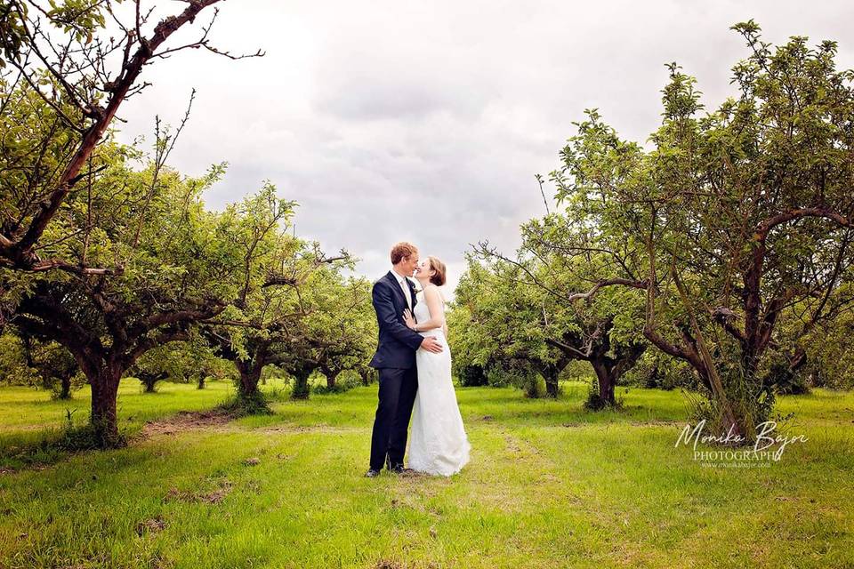 Orchard wedding