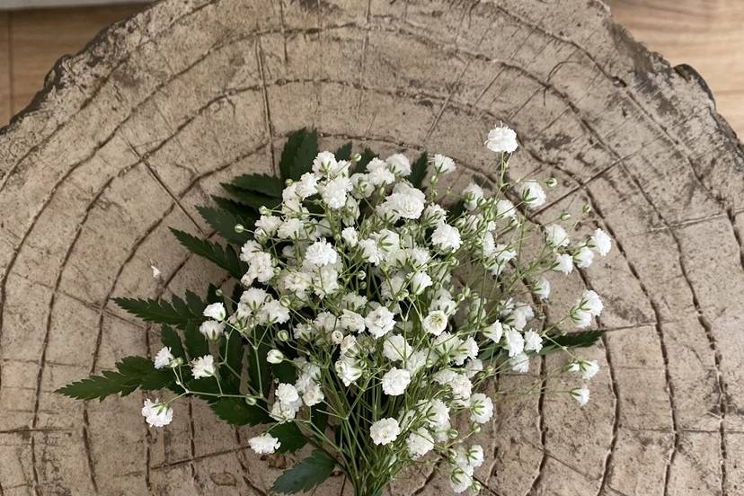 Modern gypsophila buttonhole