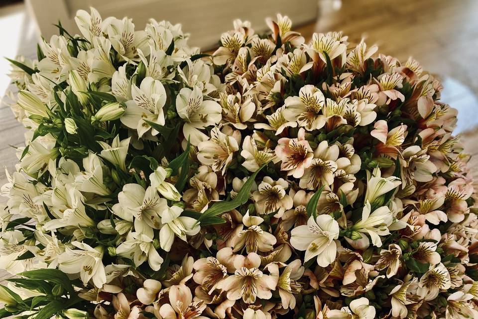 Alstroemerias