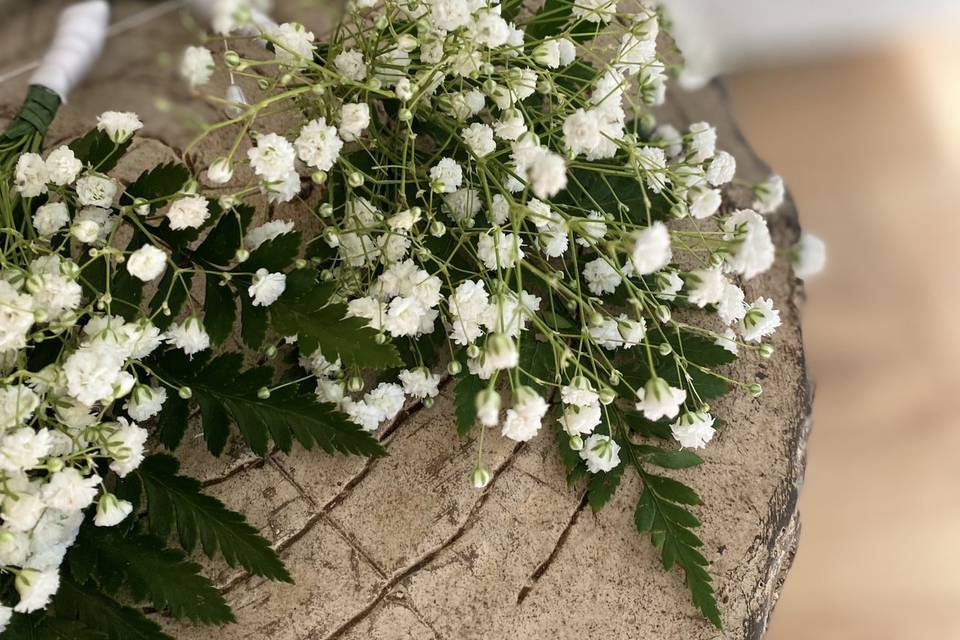 Gypsophila Buttonholes