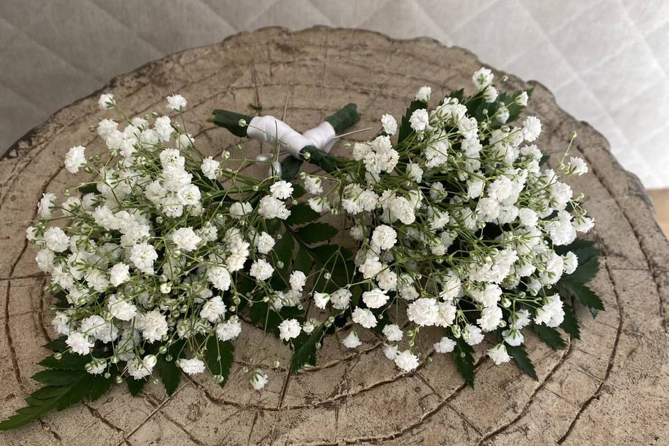 Gypsophila buttonholes