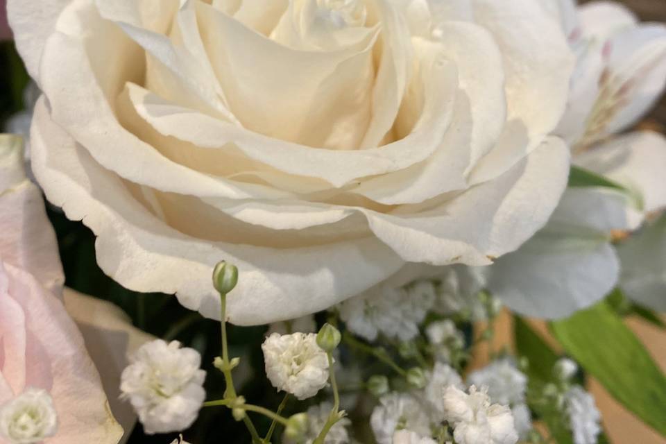 Wedding roses