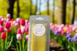 Handmade Scented Clam Wax melt