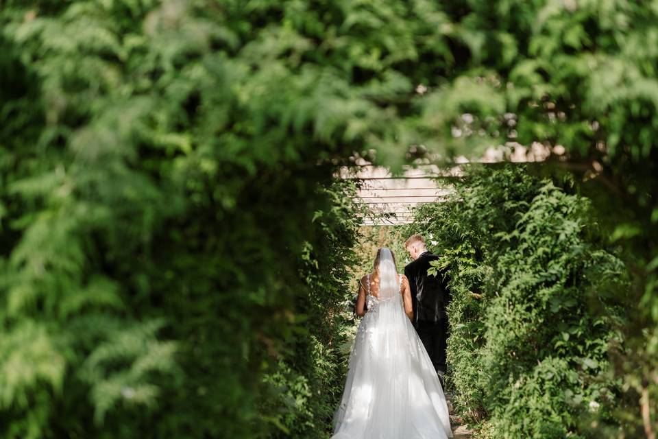 Hedge Walkway