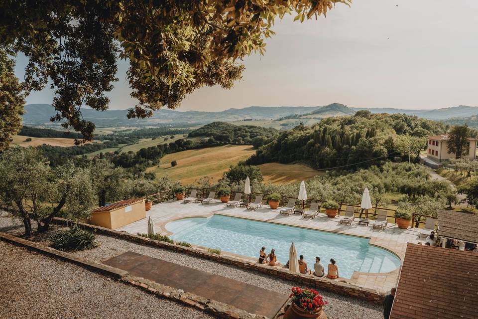 Pool among olive trees