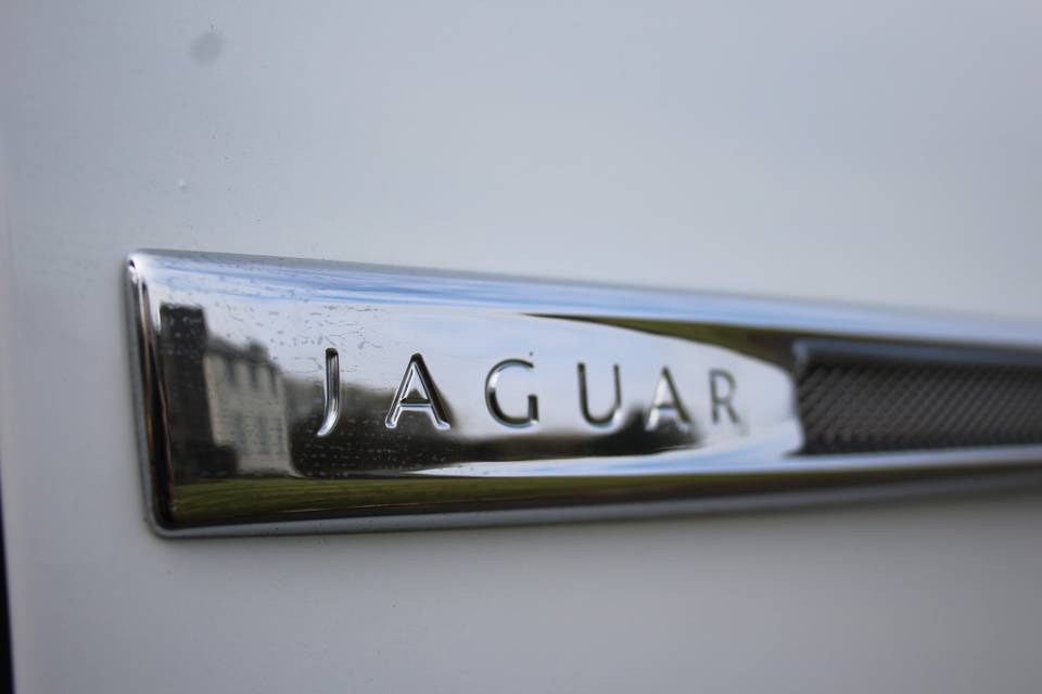 Jaguar