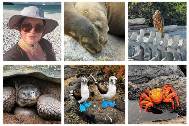 Galapagos