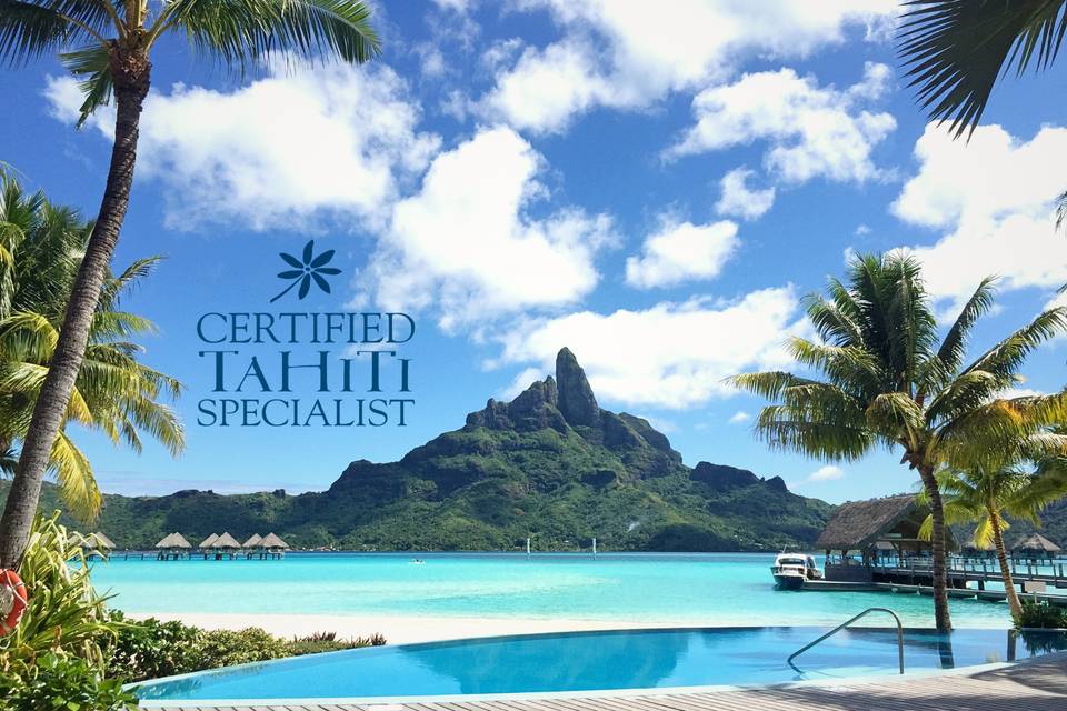 Tahiti Specialist